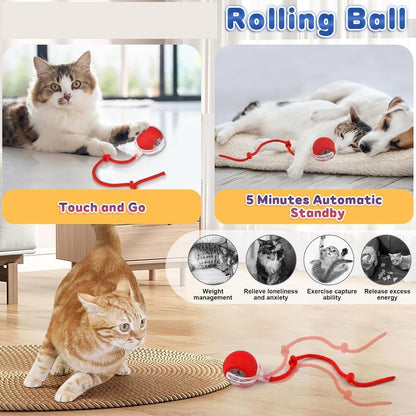 Furshie™ SmartPlay Interactive Ball Toy