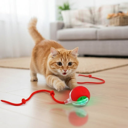 Furshie™ SmartPlay Interactive Ball Toy