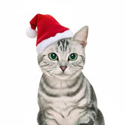 Furshie™ Cute Dog Cat  Christmas Costume