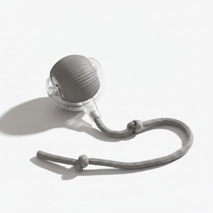 Furshie™ SmartPlay Interactive Ball Toy